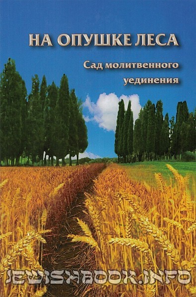 На опушке леса